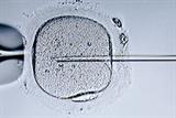 PCTs are not funding the fertility treatment cycle NICE recommends (Photograph: SPL)