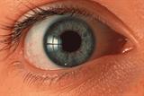 PCTs’ use of unlicensed bevacizumab for wet age-related macular degeneration is being challenged (Photograph: SPL)