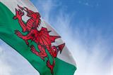 Welsh flag