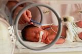 Preterm birth: babies born before 32 weeks of gestation face higher asthma risk (photo: Joseph Nettis/Science Photo Library)