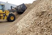Biomass feedstock 