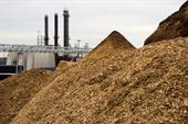 Biomass ready to be processed 