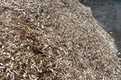 Waste wood ready to be processed, image EWB 
