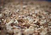 Woodchips ready to be processed 