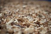 Biomass ready to be processed 