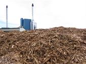 Biomass feedstock