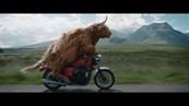 VCCP’s cow “with great hair” wins TV creativity award for Virgin Media