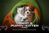 Iams: tool will launch in Canada first and then globally.