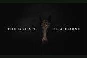 Sky Bet Cheltenham Festival ad reveals ‘G.O.A.T’ as a horse