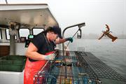 Blog: Lobster offers Europe a cautionary tale on trade and the environment