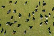 How farmers are really coping with change