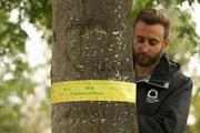The debrief: How a tree mapping project is making the case for greening Manchester