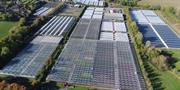 New Leaf and Bransford to hold 'sustainable plant retailing' open days