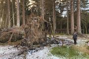 National Trust for Scotland appeals for support