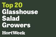 Top 20 UK Glasshouse Salad Growers face falling sales in a year of unprecedented pressures