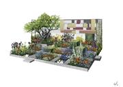 Garden category to feature in RHS Chelsea nursery pavilion