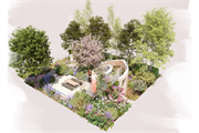 RHS Chelsea garden to raise awareness of rare neurological condition