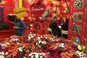 PanAmerican Seed donates impatiens money to vision charities