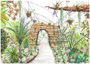 RHS plans new orchid area in Wisley glasshouse