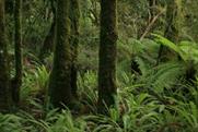 ISO to create global event sustainabity standard