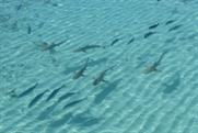 Don't eat the fish: Compass increases slippery blacklist