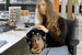 Quique the Head...Diesel internet film