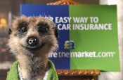 Comparethemeerkat's Aleksandr Orlov