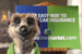 Meerkat... new ad