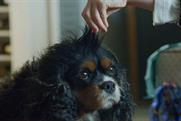 Boots ad: sparked complaints from dog lovers
