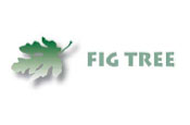 Fig Tree launches data brand