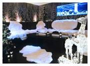 Venue of the week: Swedish Ski Lodge at The Well