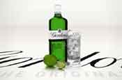 Gordon's Gin: Bring home the spirit of summer