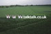 TalkTalk... new Tiscali owner
