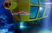 Atlantis Submarine Voyage at Legoland
