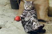 Cravendale 'Cats with thumbs' 