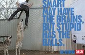 Diesel: 'stupid' campaign by Anomaly