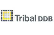 Tribal DDB: appoints Patrick Rona 