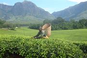 Tetley: Facebook initiative enables contact with tea-producing communitiies 