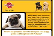 Pedigree launches online lead-generation Puppy Care campaign