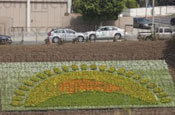 Toyota Prius: floral murals hit LA