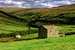 Environment...MPs call for greater regulation of ad claims