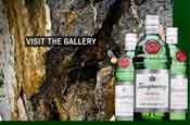 Tanqueray: photo competition
