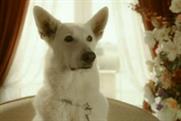 Which?: unveils 'washing machine' TV ad