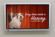 Harvey: star of Thinkbox's latest ad 