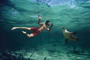 Best Jobs: swimming with sea lions in South Australia