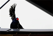 Famous Grouse: appoints ZenithOptimedia 