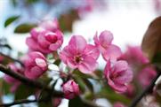Royal Highland Centre strikes Gardening Scotland deal