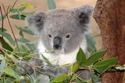 Australian exhibitions defy global recession