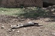 French Red Cross: does Harlem Shake with a difference