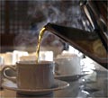 Tea Council: Mailtrack to handling online campaign